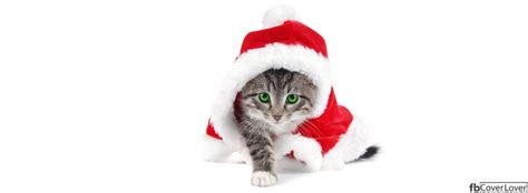 Christmas Kitten Facebook Cover