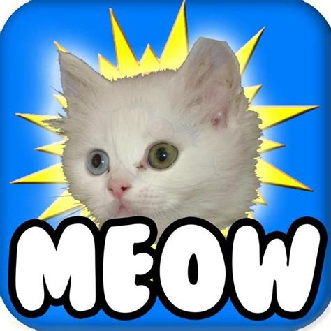 Cat Meow Meow 1 You Are My Sunshine Feat Fun Kitty Cat Song