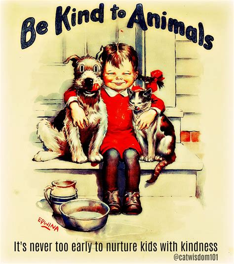 Vintage Be Kind To Animals Quotes Collecions Catwisdom101 Kindness