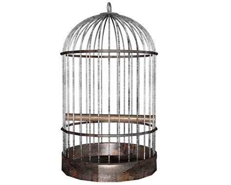 Alberts Sermon Illustrations The Empty Bird Cage