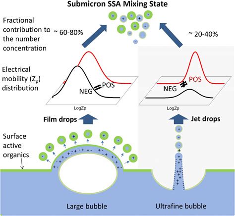 The Role Of Jet And Film Drops In Controlling The Mixing State Of Submicron Sea Spray Aerosol