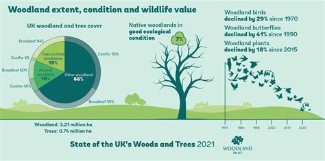 Uk Woodlands And Trees Facing Crisis Point Over Barrage Of Threats Report Warns