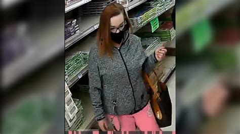 Seward Police Search For Shoplifter