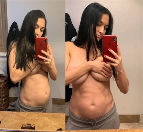 Nikki Bella Nude Selfie During Pregnancy Hot Selfies The Fappening Free Download Nude Photo