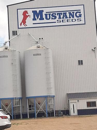 Ws Seeds Dba Midland Genetics Rebrands As Mustang Seeds News