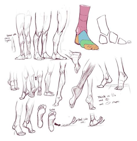 Drawing Legs Feet Drawing Drawing Poses Human Anatomy Drawing