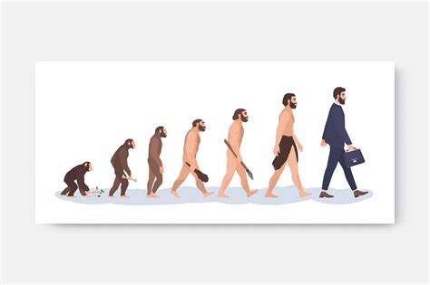 Human Evolution Stages Photoshop Graphics ~ Creative Market