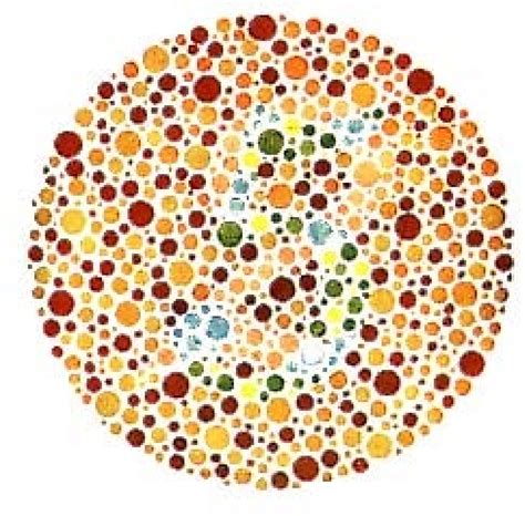 Example Of An Item From The Ishihara Test For Color Blindness