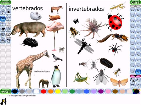 Imagenes De Animales Vertebrados E Invertebrados Para Imprimir Imagui