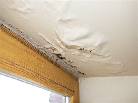 Fix Roof Leaks Asap How A Leaking Roof Affects Your Entire Home