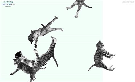 cat bounce a website of bouncing cats
