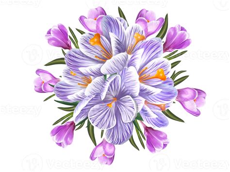 Flower Arrangement Of Crocus Saffron 16327630 Png