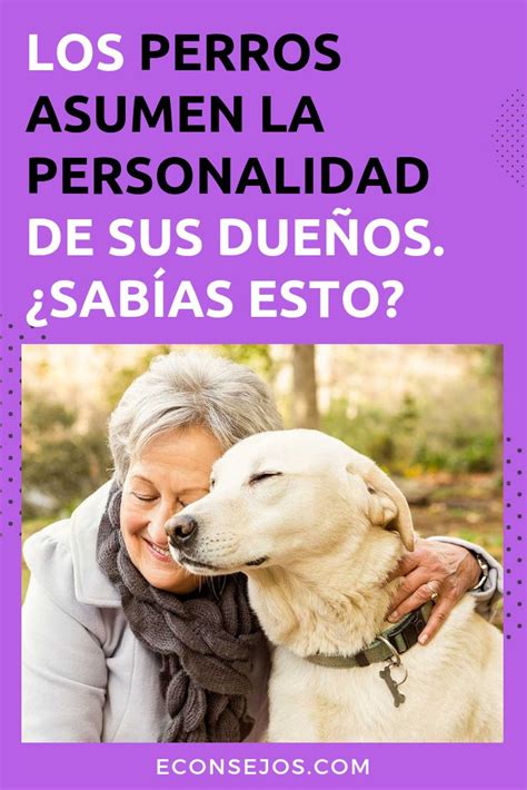 Ve Lo Que Las Investigaciones Dicen Sobre Los Perros Que Se Parecen A