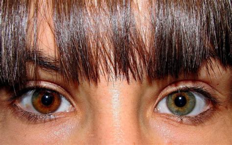 43 Jenis Warna Iris Mata Paling Modern Dan Minimalis