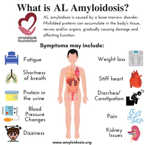 What Is Amyloidosis Refined Through The Fire