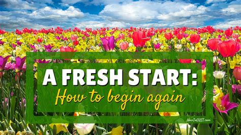 A Fresh Start How To Begin Again