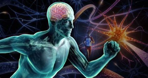 The Science Behind Exercise And Your Brain Brain Exercise Your Brain