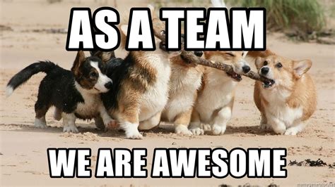 As A Team We Are Awesome Teamwork Corgis Meme Generator