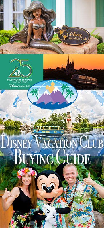 Disney Vacation Club Buying Guide Disney Vacation Club Disney