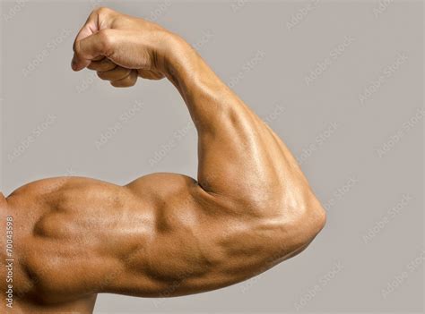Close Up On A Bodybuilder Bicepsshoulderarm Stock Photo Adobe Stock