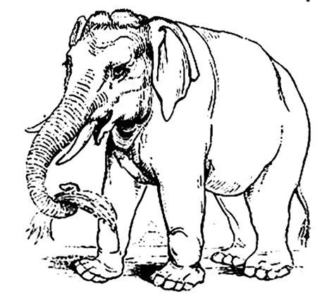 This is a digital download pdf. Asian elephant coloring page - Animals Town - Animal color ...
