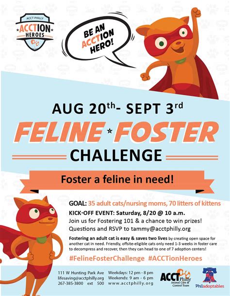 Feline Foster Challenge Acct Philly