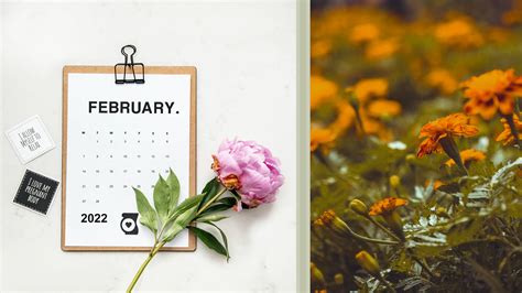 Download February 2022 Marigold Flower Calendar Wallpaper