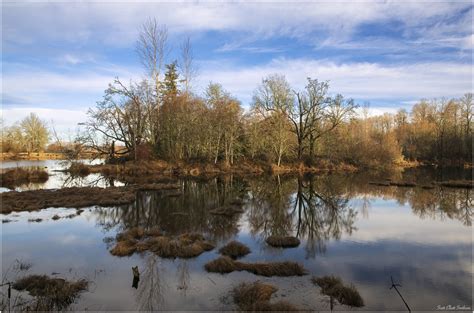 Nisqually Nwr Wetland Reflection Scott Elliott Smithson Flickr