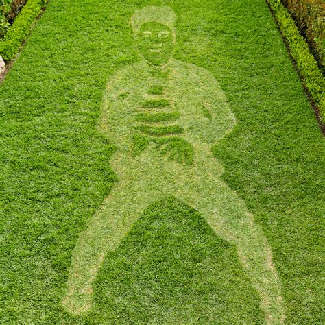 How To Create Grass Art Better Homes And Gardens