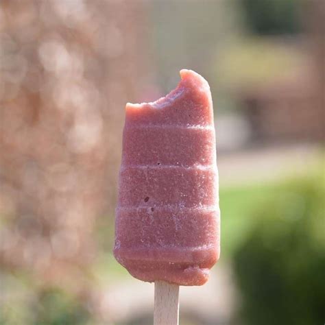 100 Fruit Ice Lollies Natural Ice Cream Nice By Nature Nice By