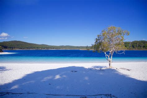 5 Reasons You Must Visit Fraser Island Australia Wanderlust
