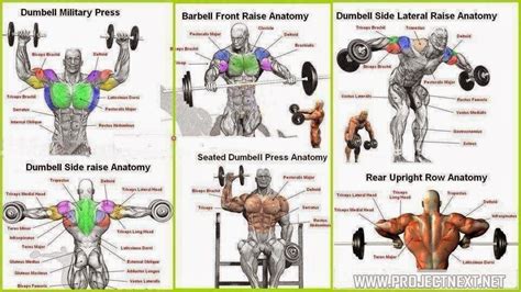 Top 6 Shoulder Workouts ~ Fitness Inspiration Shoulder Workouts For