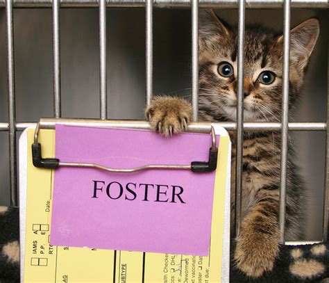 You may not get a full night's sleep but you will adjust. Cat Foster