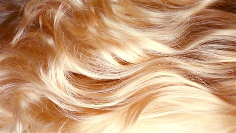 Rüyada Sarı Saçlı Olduğunu Görmek - Rüya Meali