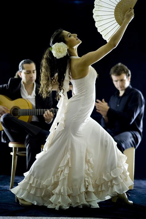 Flamenco Wallpapers High Quality Download Free
