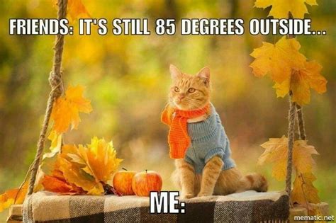 Fall Humor Fall Memes It S Fall Fall Thanksgiving Cozy Fall Hate Summer Hilarious Funny