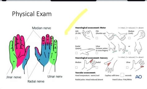 Physical Exam Of The Hand Flashcards Quizlet