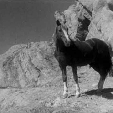 Playback options listening on… switch spotify device. Champion the Wonder Horse - Topic - YouTube