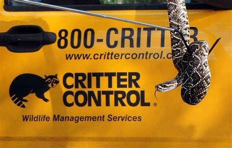 About Us Wildlife Control Critter Control Daytona Beach