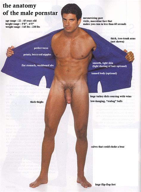 The Anatomy Of The Male Porn Star Male Porn Stars