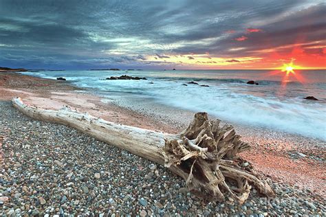 Sakonnet Driftwood Beach Sunset Photograph By Katherine Gendreau Fine