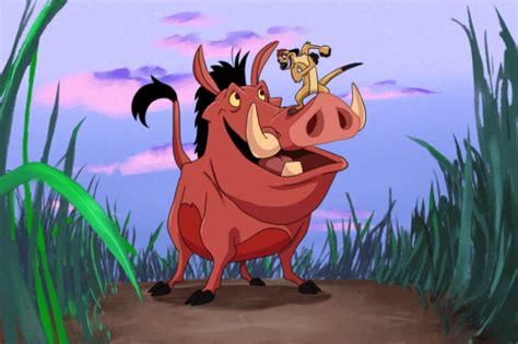 Beautiful Picture Of Timon And Pumbaa Desi Comments