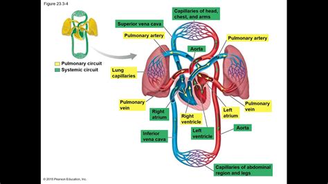 A Simple Schematic Of A So Called General Circulation