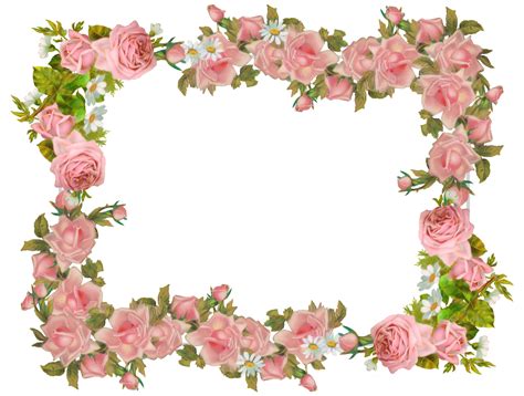 Floral Frame Png Transparent Image Download Size 1350x1022px
