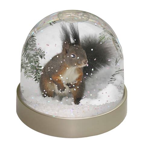 Forest Snow Squirrel Snow Dome Globe Waterball T Ebay