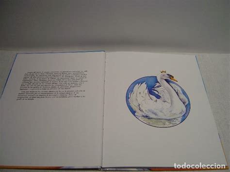 Los Cisnes Salvajes Totalmente Cierto Ander Comprar Libros De