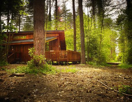 If you are seeking a peaceful break in a norfolk cottage or lodge, our hot tub cabins at thorpe forest tick all the boxes. Thorpe Forest, Norfolk Log Cabin & Lodge Holidays & Breaks ...