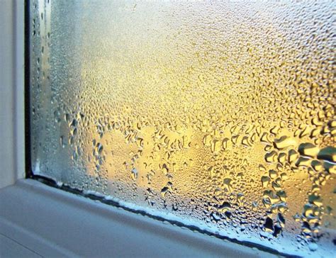 Condensation On Windows Why It Happens And How To Fix It Bob Vila