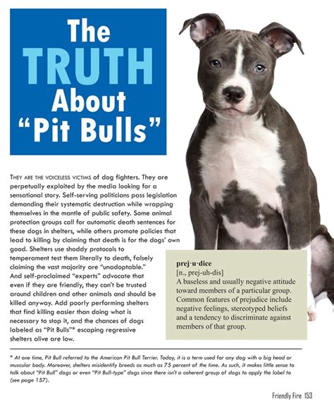 The Truth About “pit Bulls” Nathan J Winograd