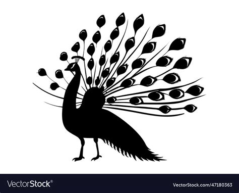 Peacock Silhouette Isolated On A White Background Vector Image